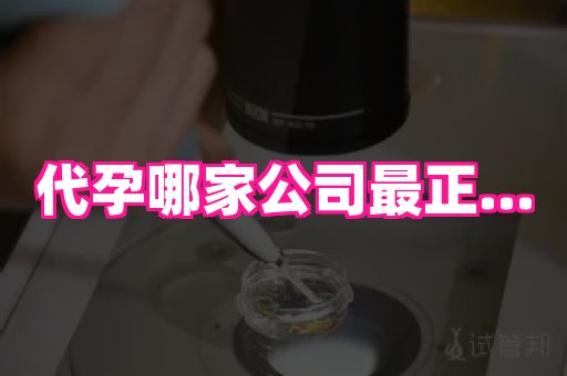 杭州助孕网站 2